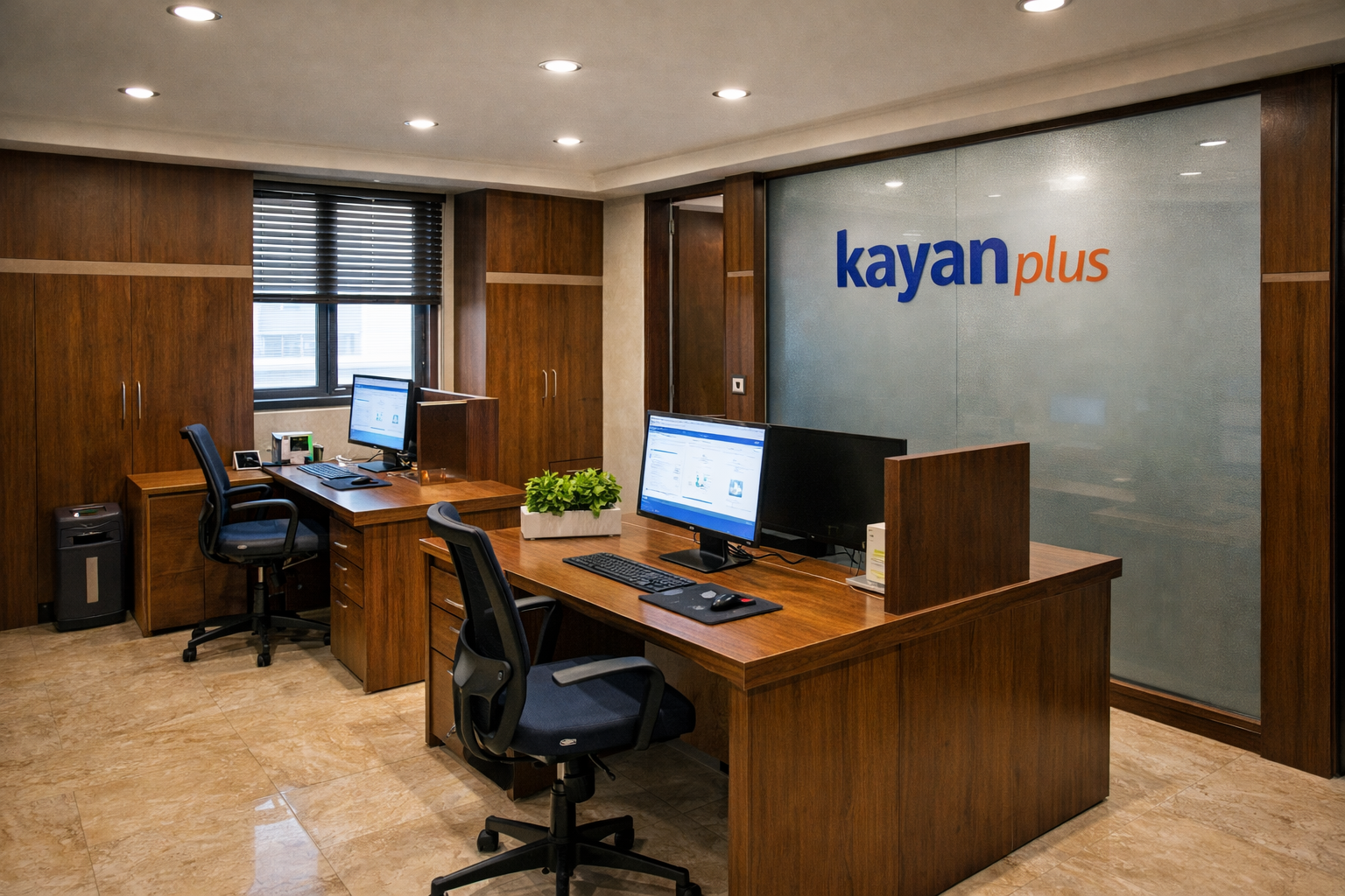 التسويق الرقمي في المنصورة